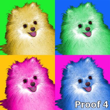 Pomeranian Art Portraits and gifts for the Pomeranian lover