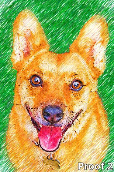 Australian Cattle Dog custom portrait