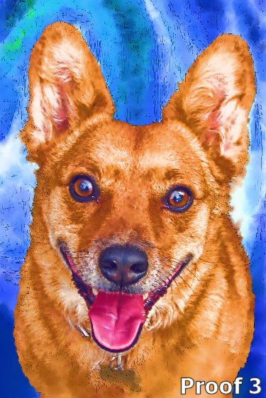 Custom Australian Cattle Dog portrait
