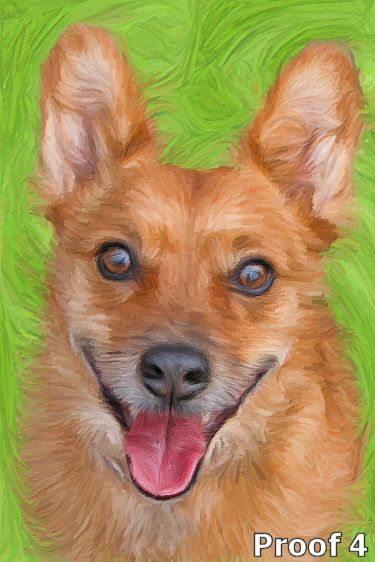 Australian Cattle Dog art portrait
