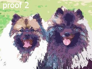 keeshond art and gifts