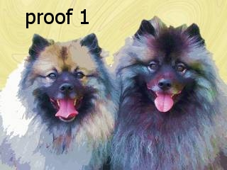 Keeshound Art