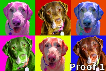 Fun pet pop art portraits 