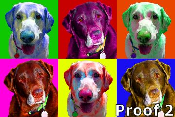 Whimsical Dog art 