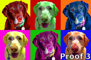 Warhol inspired breed specific art 
