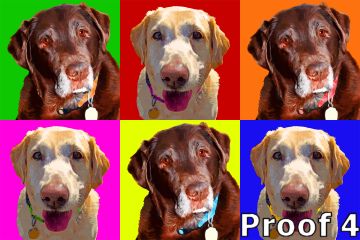 Cool dog art 