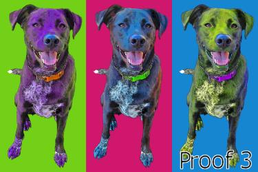 Labrador Retriver mix portraits and gifts