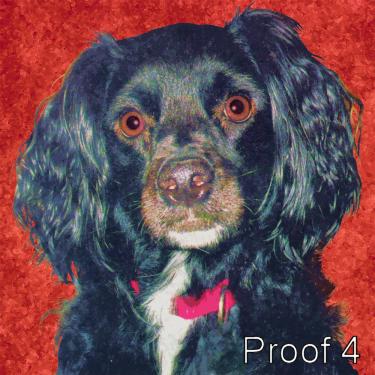 Spaniel art
