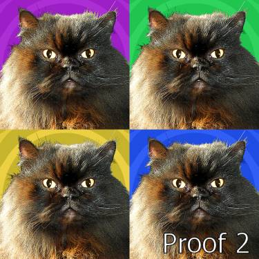 pop art pet portrait cat