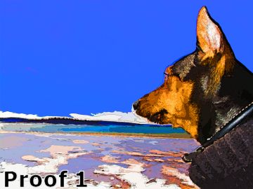 Miniature Pinscher portrait