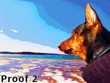 custom Miniature Pinscher dog portrait