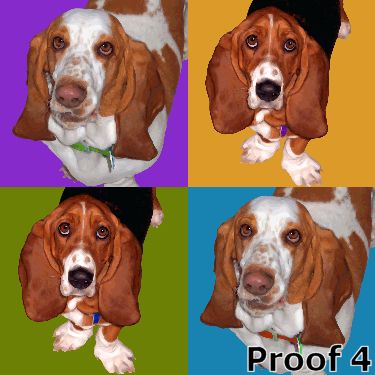 Custom Basset Hound portrait