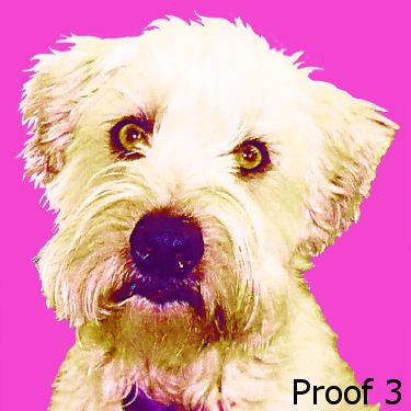 Wheaton Terriers pop art portrait