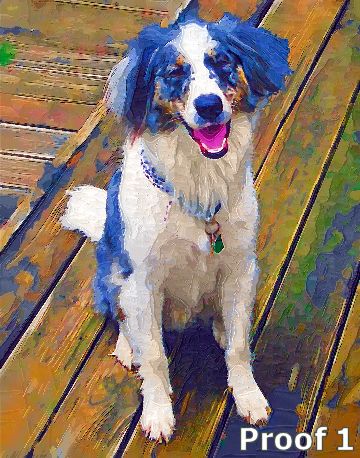 Custom pet portrait