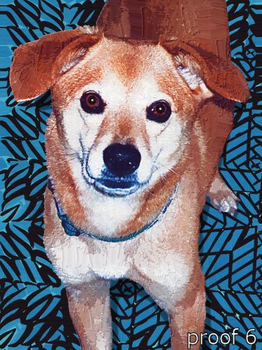 pop art pet portrait dog
