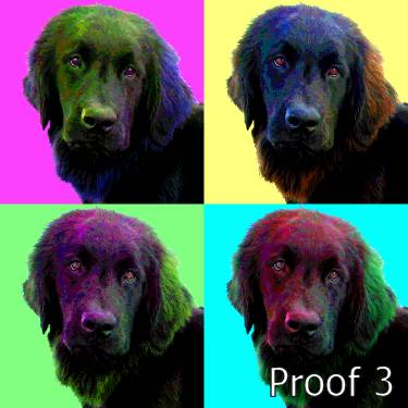 Newfie portrait art
