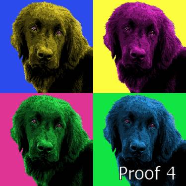Newfie art