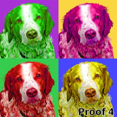 breed specific English Springer Spaniel portraits