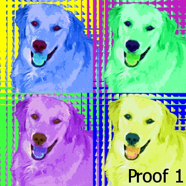Golden Retriever Pop Art Portrait
