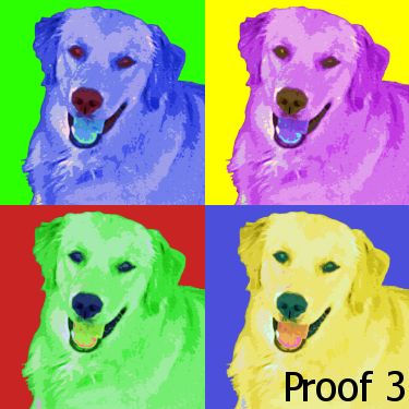Golden Retriever  Pop Portrait