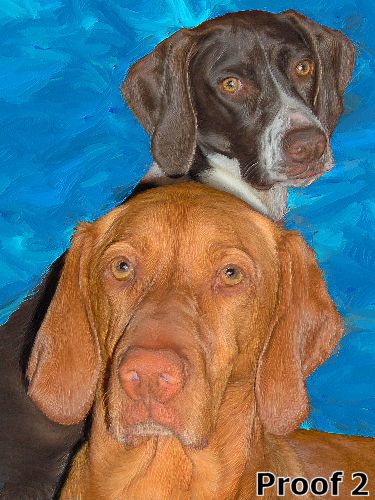 dog portrait