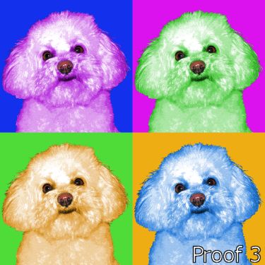 Bichon Frise breed specific art 