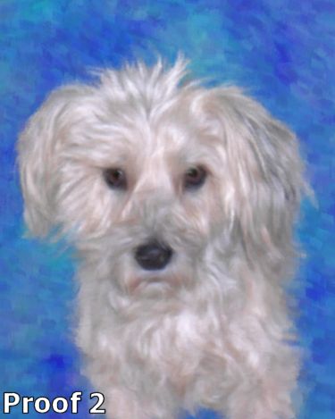 pet art portrait 