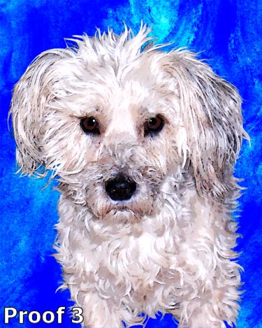 dog portrait custom art