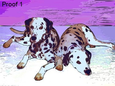 Dalmation Art