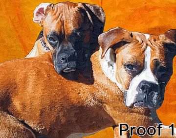 Custom Boxer Art