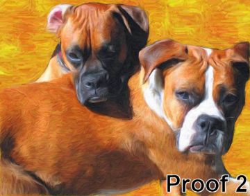 Boxer Portrait