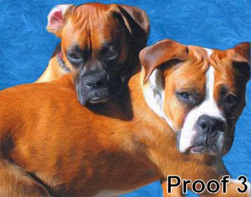 Boxer Custom Portraits