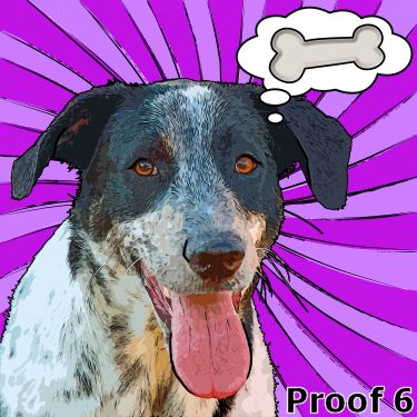 Dog Portraits