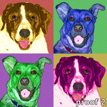 dog pop art portrait