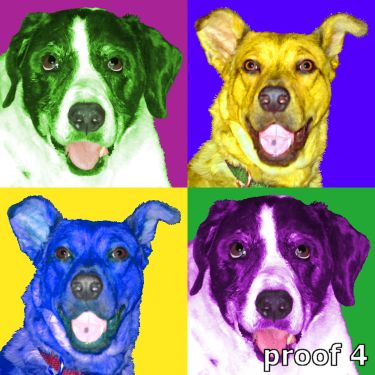 Custom dog pop portrait
