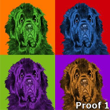 Newfoundland Pop Art
