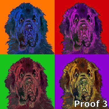Newfie custom portrait art