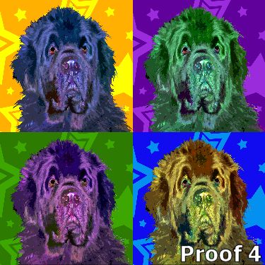 Custom Newfie art from your photos