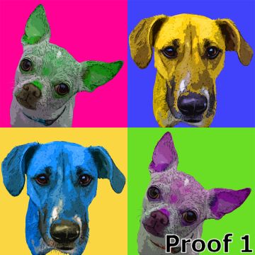 pop art pet portrait