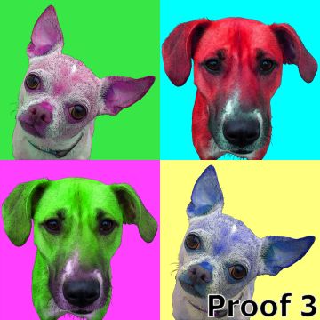 Pet pop art portraits