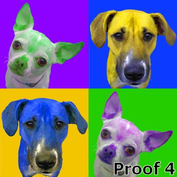 Custom pet pop portrait