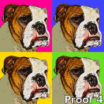  breed specific bulldog portraits