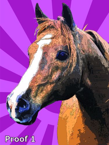 pop art horse gifts
