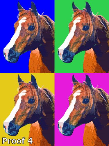 custom equine art comission