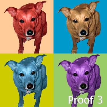 Pop Art dog portrait
