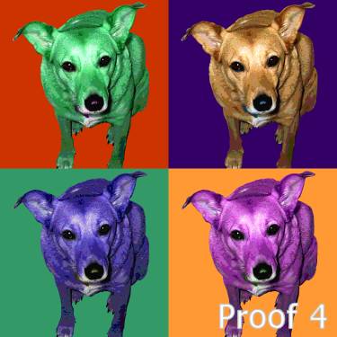 Cstom Pop Art Gifts and Art Portraits
