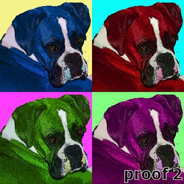 Boxer pop portraits