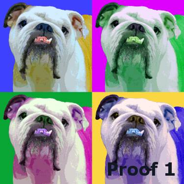 English Bulldog Art