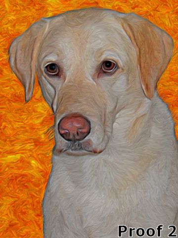 Yellow Lab artwork