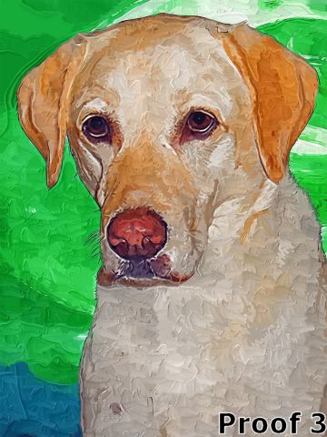 Yellow Labrador Retriever gifts